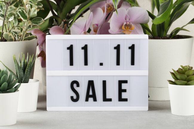 11.11 sale text on white lightbox among the plants in pots . Online shopping, singles day sale concept. Top view copy space